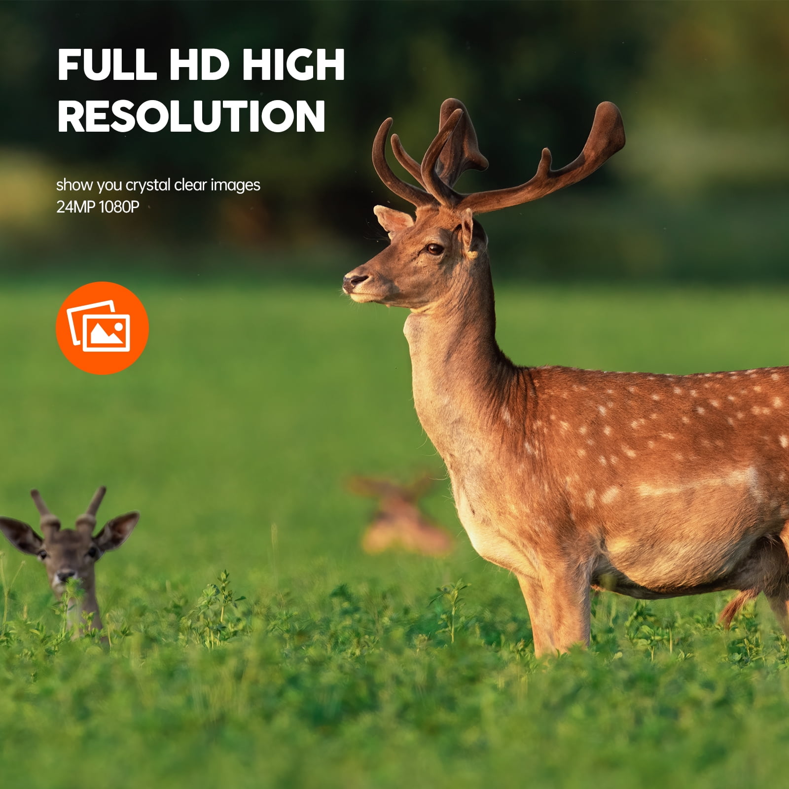 CAMPARK Trail Camera 1080P Game Hunting Deer Camera with Night Vision Motion Activated (3 Pack)