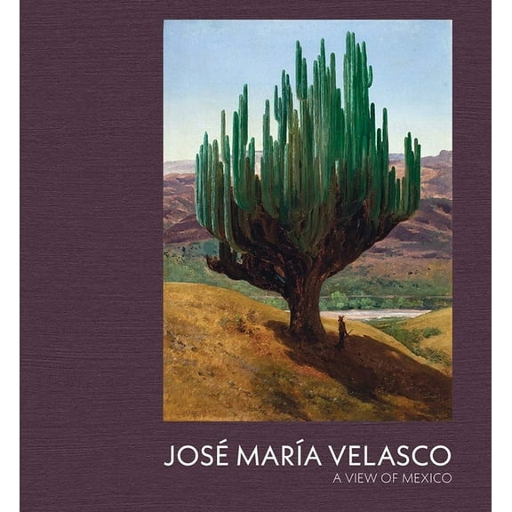 Jose Maria Velasco: A View of Mexico, (Hardcover)