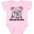 thumbnail image 3 of Inktastic English Bulldog Sketch Portrait with Dog Breed Name Boys or Girls Baby Bodysuit, 3 of 5