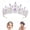 Purple, variant on Tiara Crown for Women, Silver Crystal Tiaras and Crowns for Women, For Quinceanera Graduation First Communion Crown Prom Wedding Bridal Accessories Wedding(Silver)