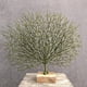 thumbnail image 5 of Estatuilla de árbol de Navidad de con rama de , escultura basada en acuario para Macarena Escultura decorativa Figuritas, 5 of 7