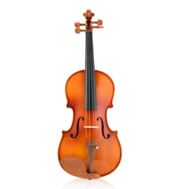 Instrument De Musique, Violon Durable 4/4, Usage Professionnel Ferme Pour  Les étudiants Débutants à Usage Général 