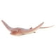 thumbnail image 5 of Juguete para niños, modelo de animal marino de simulación, juguete de simulación de animal, modelo de animal marino probado profesionalmente, 5 of 14
