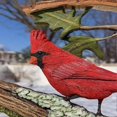thumbnail image 5 of Bird Stepping on Branch Ornaments Red Cardinal Statue Decorative, 5 of 5