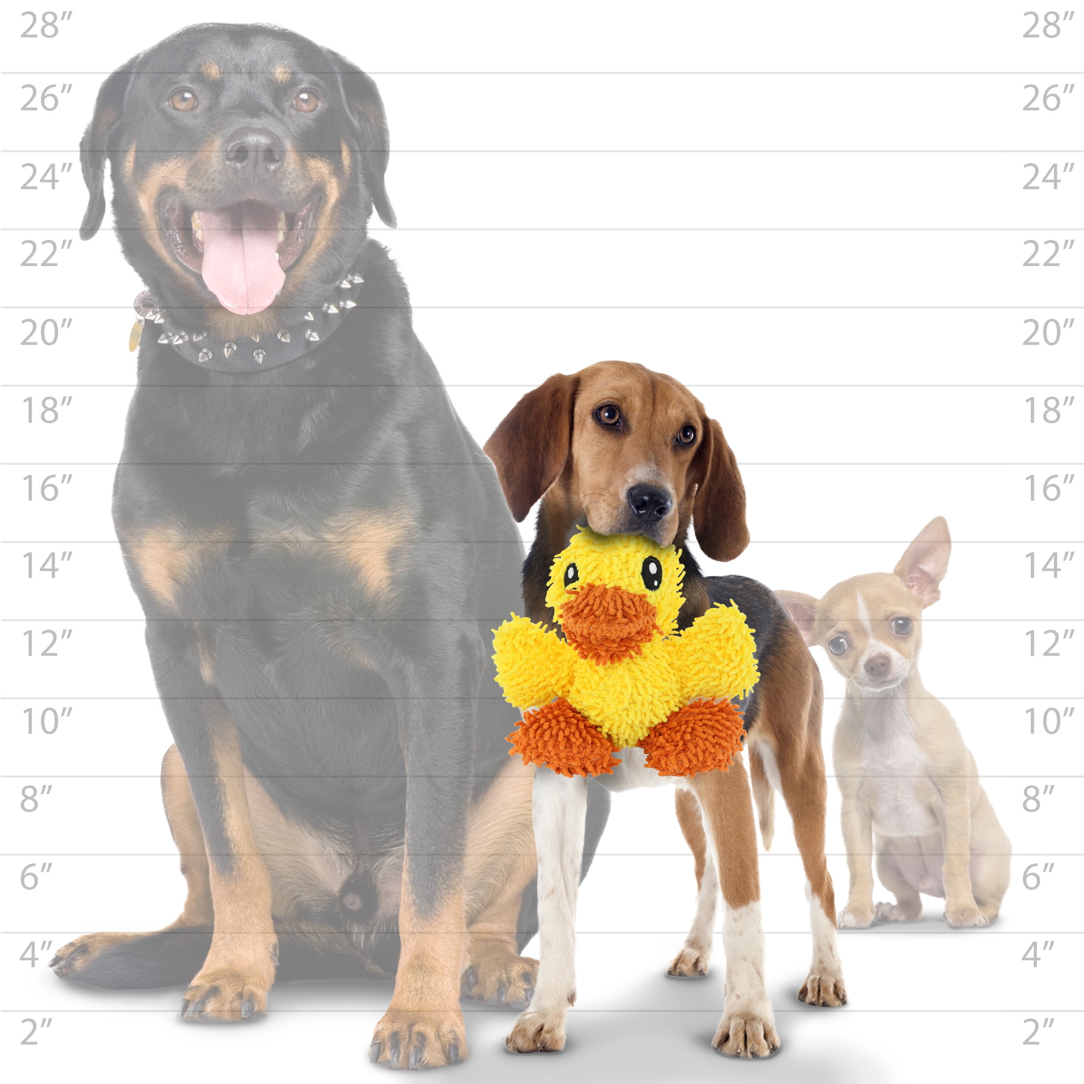 Mighty Jr Microfiber Ball Duck and Monster Durable Plush Squeaky Dog Toy, 2 Pack