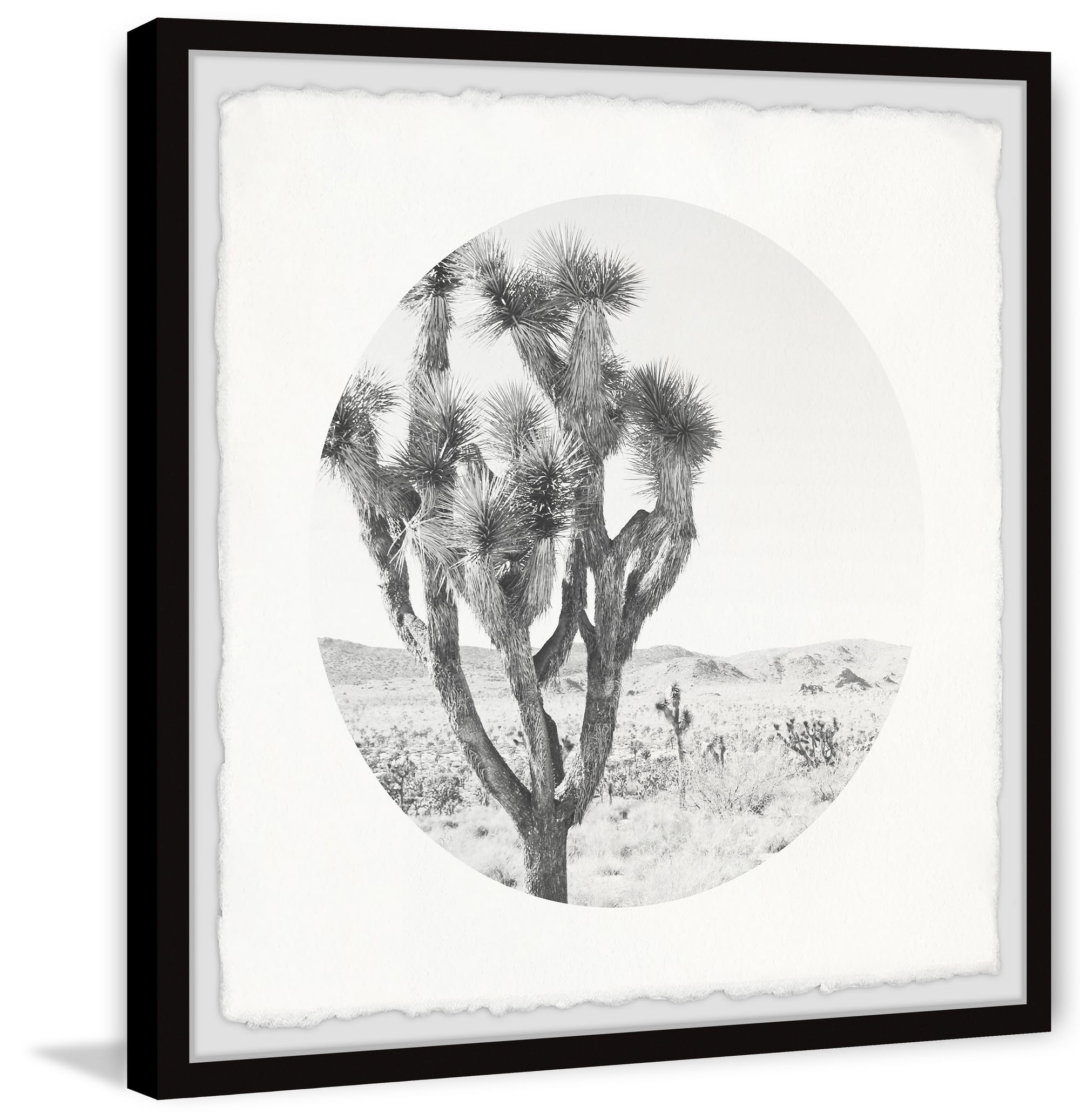 Marmont Hill Desert Cacti Framed Wall Art, 18" x 18"