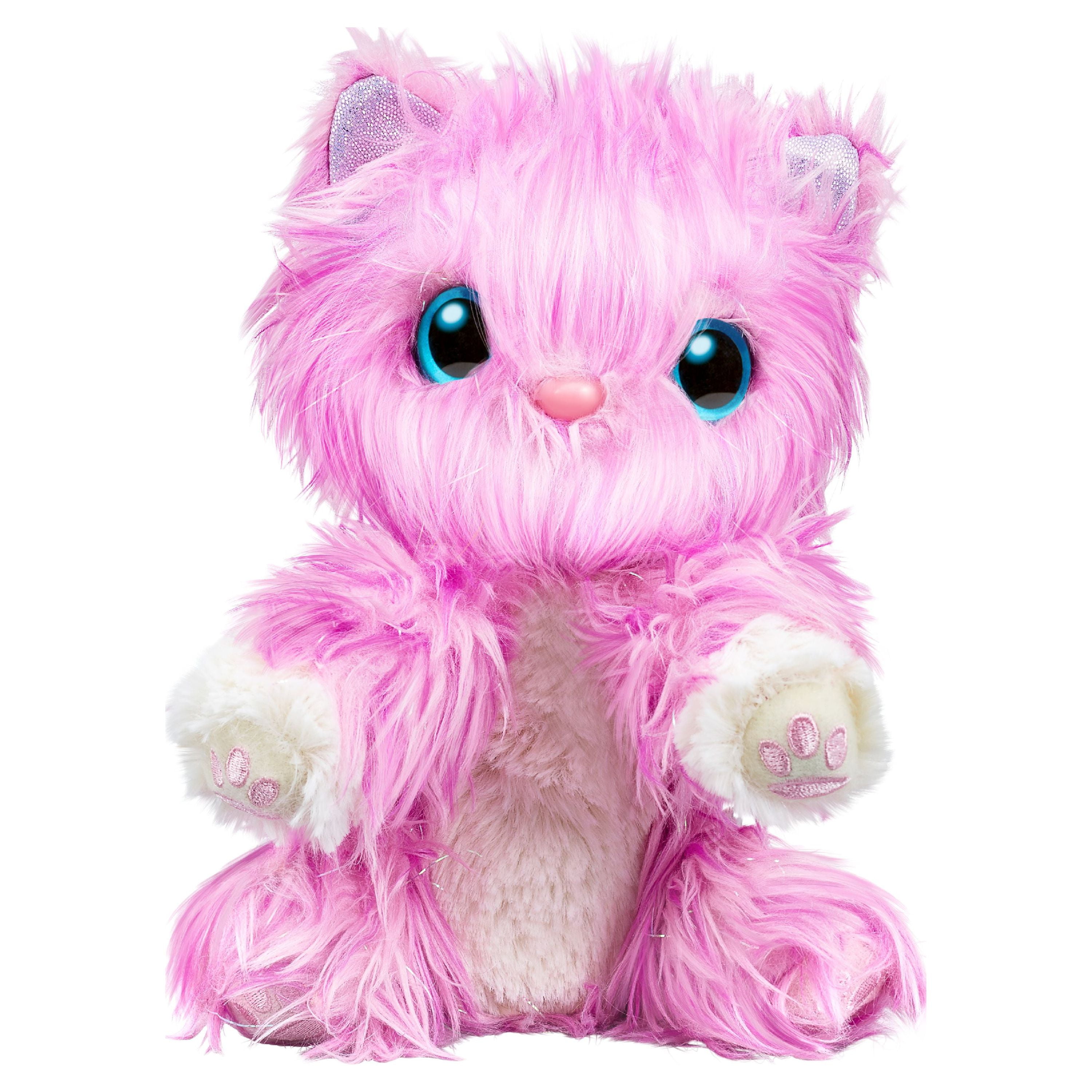 Scruff a hotsell luv cat