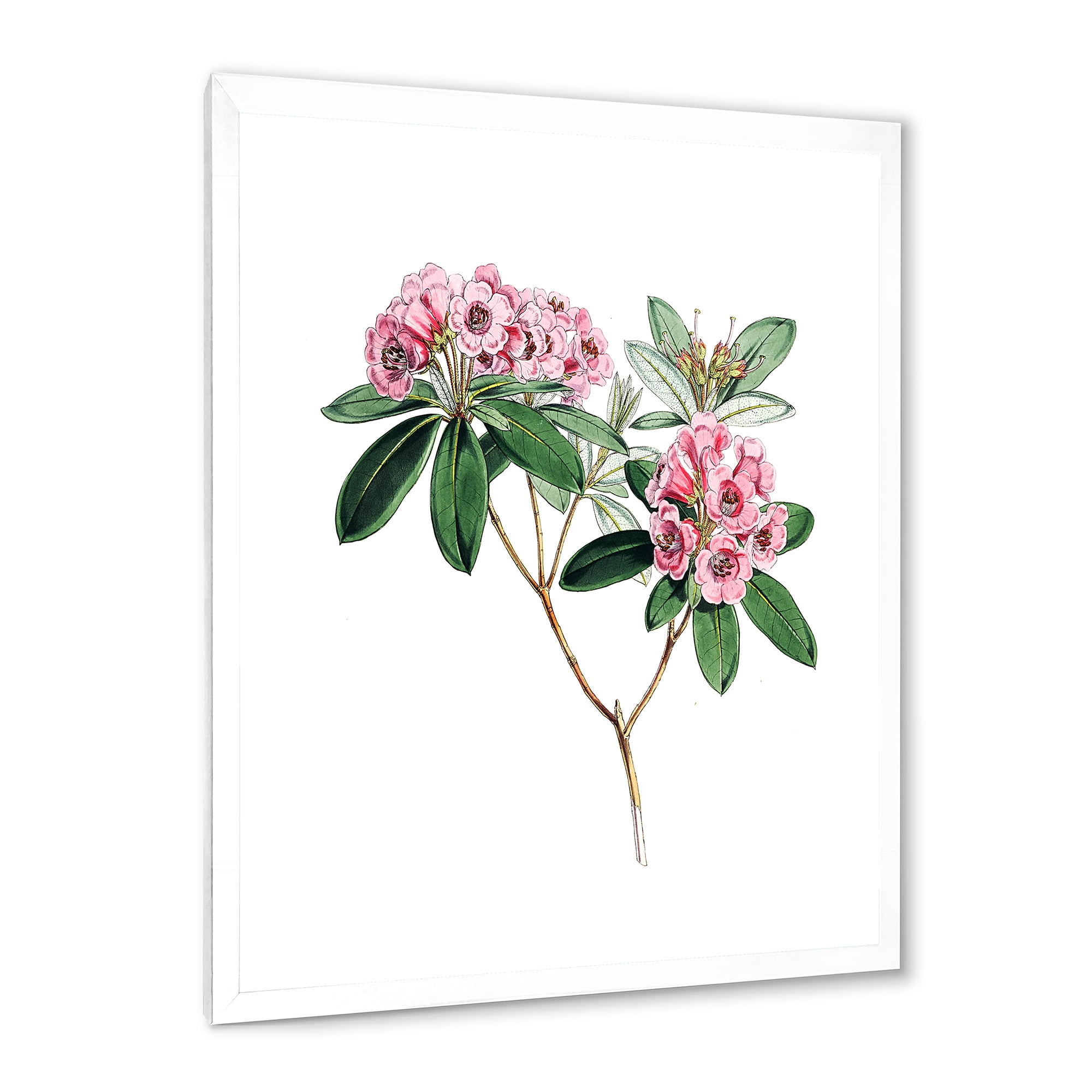 Designart 'Ancient American Flora II' Traditional Framed Art Print