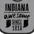 thumbnail image 4 of Inktastic Indiana Awesome Since 1816 Boys or Girls Baby Bib, 4 of 4