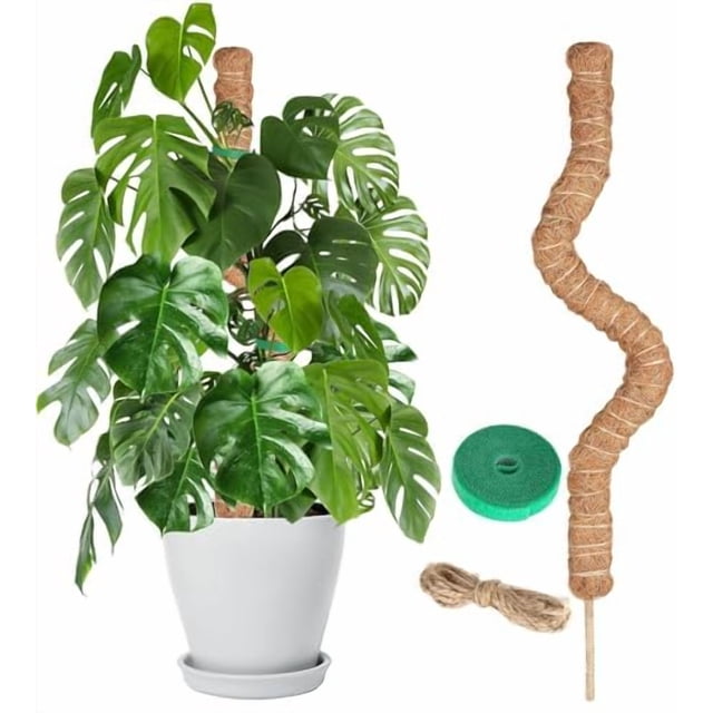 Moss Pole Craft911 - Soporte flexible para plantas (122 cm)