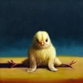 thumbnail image 3 of Heffernan, Lucia 20x20 Black Modern Framed Museum Art Print Titled - Yoga Chick Front Split, 3 of 5