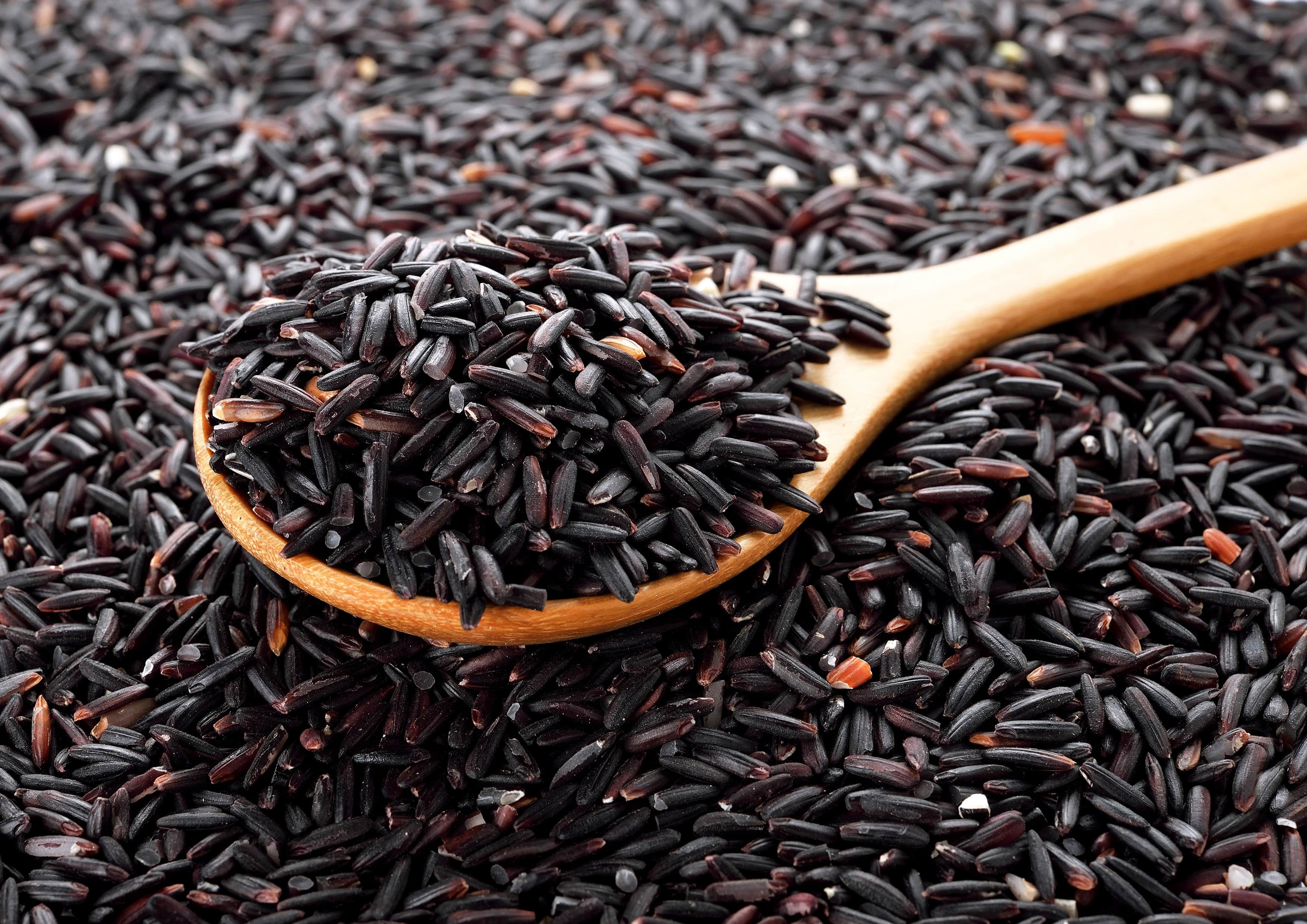 Black Rice, 24 Pounds — Kosher, Raw, Vegan — by Food to Live