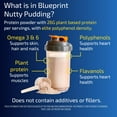 Blueprint Bryan Johnson Longevity Protein HYZ01 Nutty Pudding Protein