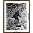 thumbnail image 5 of Art.com Alleged Photo of Bigfoot Photographic Print by Bettmann, Brown Frame Wall Art, 23" x 29", 5 of 5