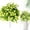 F, variant on Clearance Artificial flowers under $1,1 Bundles Artificial Flowers Cemetery Flower Plastic Memorial Bouquet For Hanging Window Box Home Table Centerpieces Decor