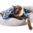 thumbnail image 4 of Mantas para perros, manta suave y esponjosa para mascotas, alfombra cálida para dormir, diseño con estampado de huesos, manta para cachorros y gatitos, para mascotas, 4 of 7