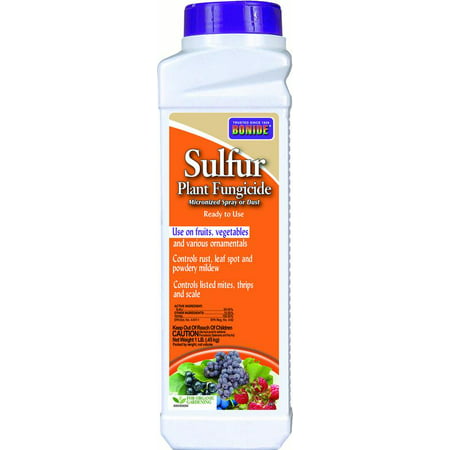 SULFUR PLANT FUNGICIDE MICRONIZED SPRAY OR DUST