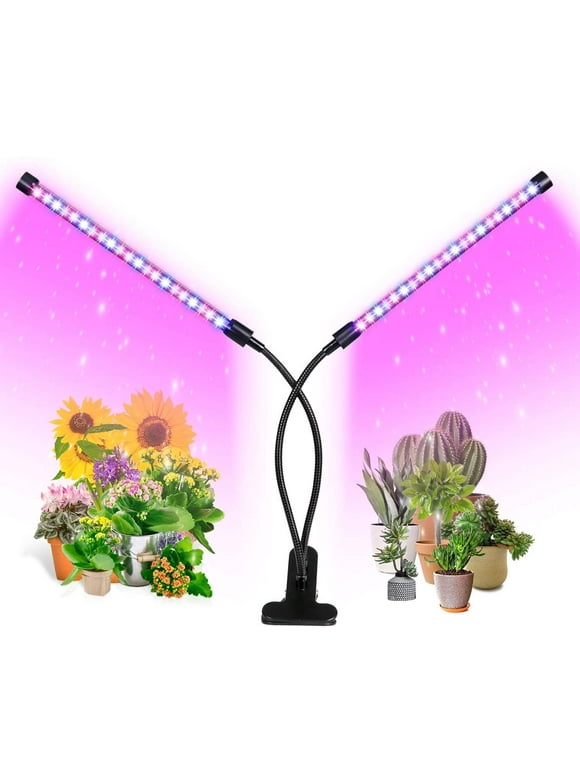 Grow Light Bulbs in Light Bulbs