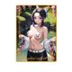 thumbnail image 1 of Tarjeta de metal de la historia de la diosa Colección de todas las tarjetas de chicas de trajes de baño sexys de anime Yamato Nami Nezuko Mitsuri Boa Hankokku Girl, 1 of 5