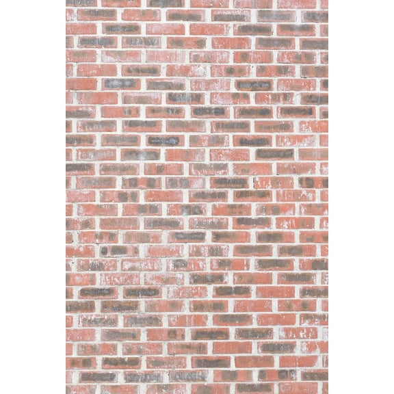 Savage Printed Vinyl Backdrop - Red Brick Wall - 5'x7'