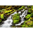 thumbnail image 3 of Taylor, Douglas 24x17 Black Modern Framed Museum Art Print Titled - Forest Stream, 3 of 5