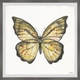 thumbnail image 2 of Parvez Taj "Big Yellow Mariposa" Framed Painting Print, 2 of 6