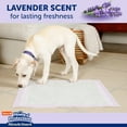thumbnail image 5 of Hartz Home Protection Miracle Guard Lavender Dog Pads, Regular, 50 Count, 5 of 9