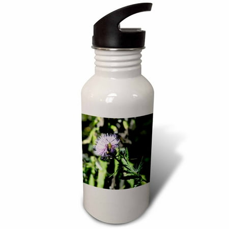 

bug on a thistle 21 oz Sports Water Bottle wb-20096-1
