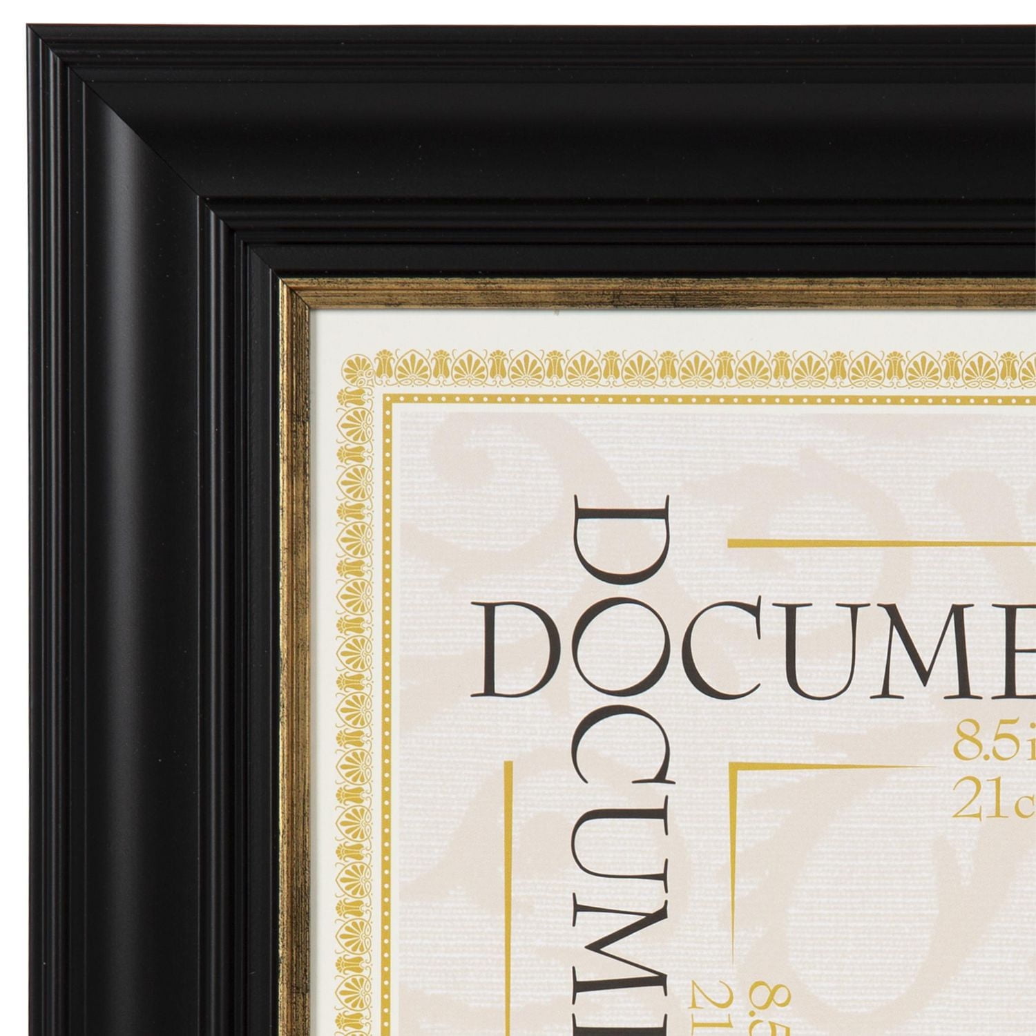Stephan Black and Gold Document Frame, 8.5" x 11"