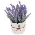 thumbnail image 1 of Pequeñas Plantas Artificiales Conjunto De 2 Eucalipto Falso En Macetas De Cerámica, Decoración Rústica Moderna Mini Plantas Falsas Realistas Para La Sala De Estar En El, 1 of 7