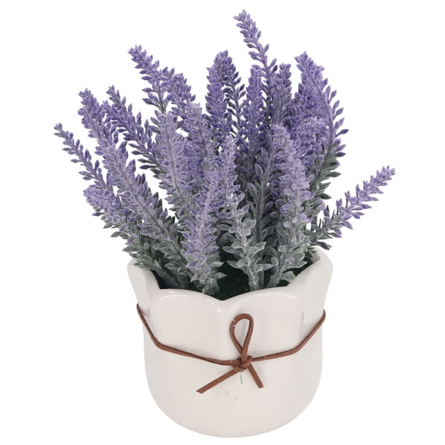Pequeñas Plantas Artificiales Conjunto De 2 Eucalipto Falso En Macetas De Cerámica, Decoración Rústica Moderna Mini Plantas Falsas Realistas Para La Sala De Estar En El