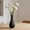 Black A, variant on Small Plastic Bud Vase Tall Conic Flower Single Stem Vase Vase Home Decorative Floral Centerpiece for Wedding and Office