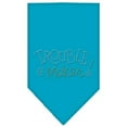 thumbnail image 5 of Pet and Dog Bandana Rhinestone, "Trouble Maker", 5 of 10