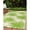 GREEN, variant on World Rug Gallery Floral Tropical Reversible Recycled Plastic Outdoor Picnic Mat, Camping Rug, RV Rug - BLUE 5'x7'
