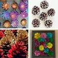 thumbnail image 2 of Twinkseal Diy Crafts Pine Cones 10pcs Natural Pine Cone Decorations for Diy Crafts Christmas Parties Weddings Christmas Pine Cones, 2 of 8