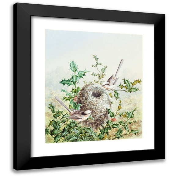 Harry Bright 12x14 Black Modern Framed Museum Art Print Titled - Coral Buntings and Their Nest in a Holly Tree (1878)