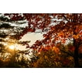 thumbnail image 2 of Jones, Allison 32x23 Black Ornate Wood Framed with Double Matting Museum Art Print Titled - USA-Vermont-Morrisville-Jopson Lane Fall foliage, 2 of 4