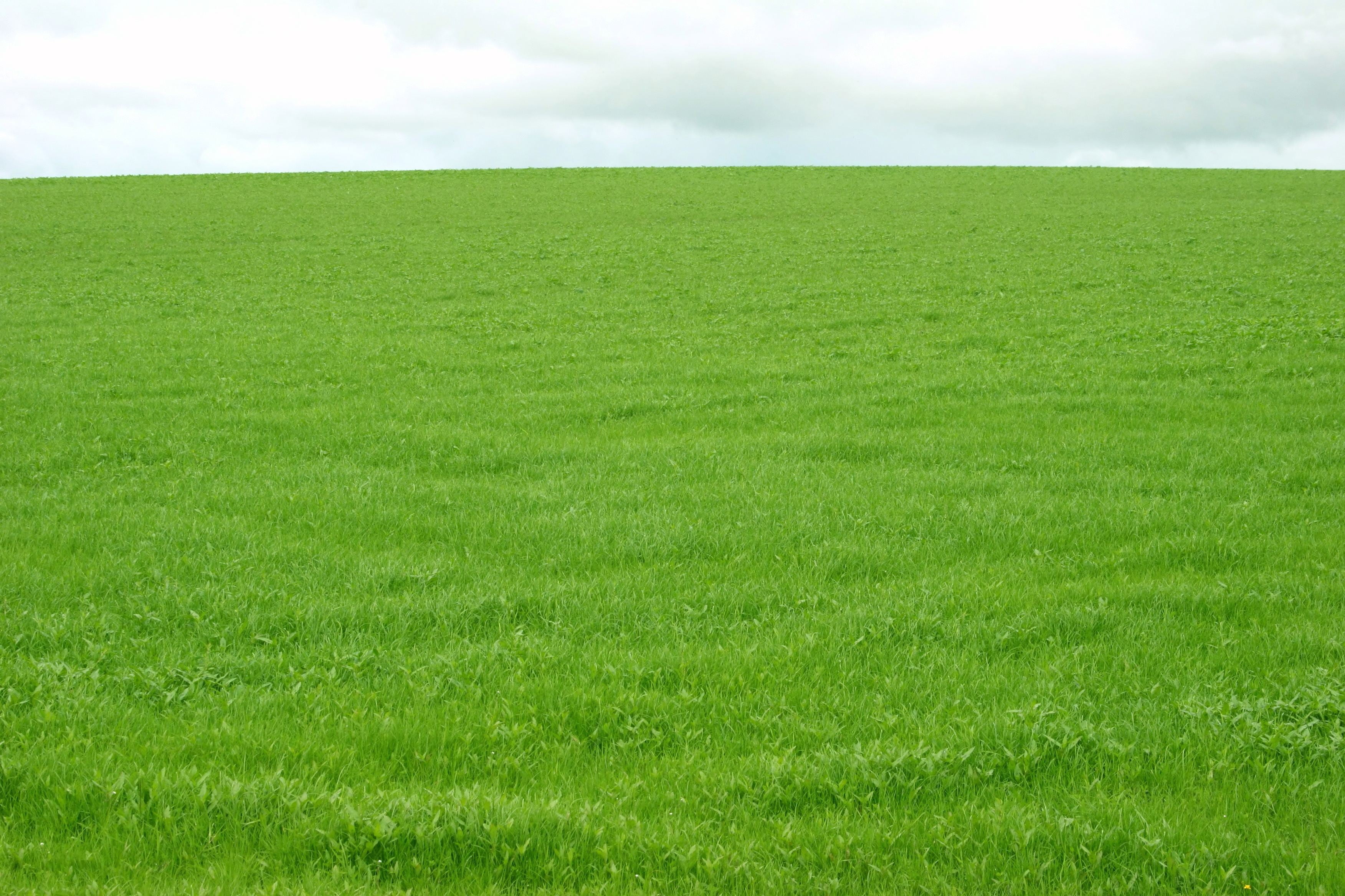 can i get tested for covid 19 in another state can i get tested for covid 19 in another state