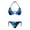 Blue Floral Print, variant on Women's Plus Size Daisy Butterfly Print 2 Piece Bikini Set Adjustable Halter String Two Piece Bathing Suit Summer Swimwear for Women