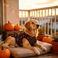 thumbnail image 7 of Halloween Dog Clothes Dog Halloween Shirts Tank Tops with Claw Spider Net Pumpkin Patterns Pet Halloween Costumes Puppy Shirt Vest for Small Medium Dogs, 7 of 7