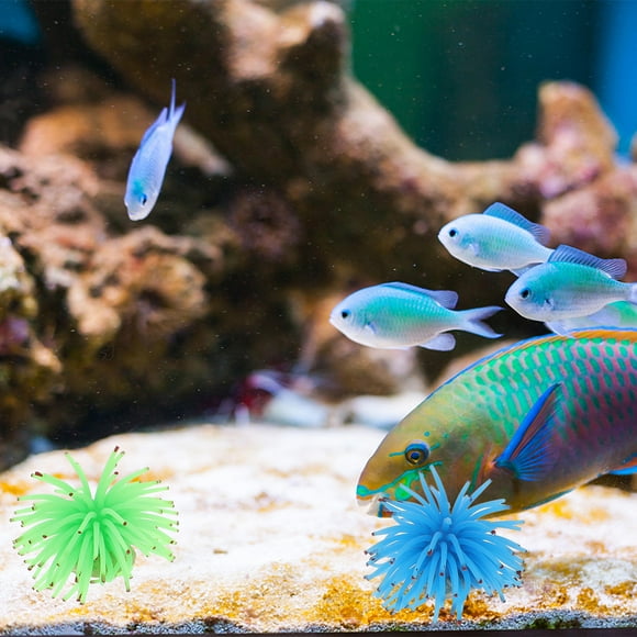 BRIGHTFUFU 6Ud Adorno De Urchin Artificial Para Nidos De Mascotas En Terrarios Y