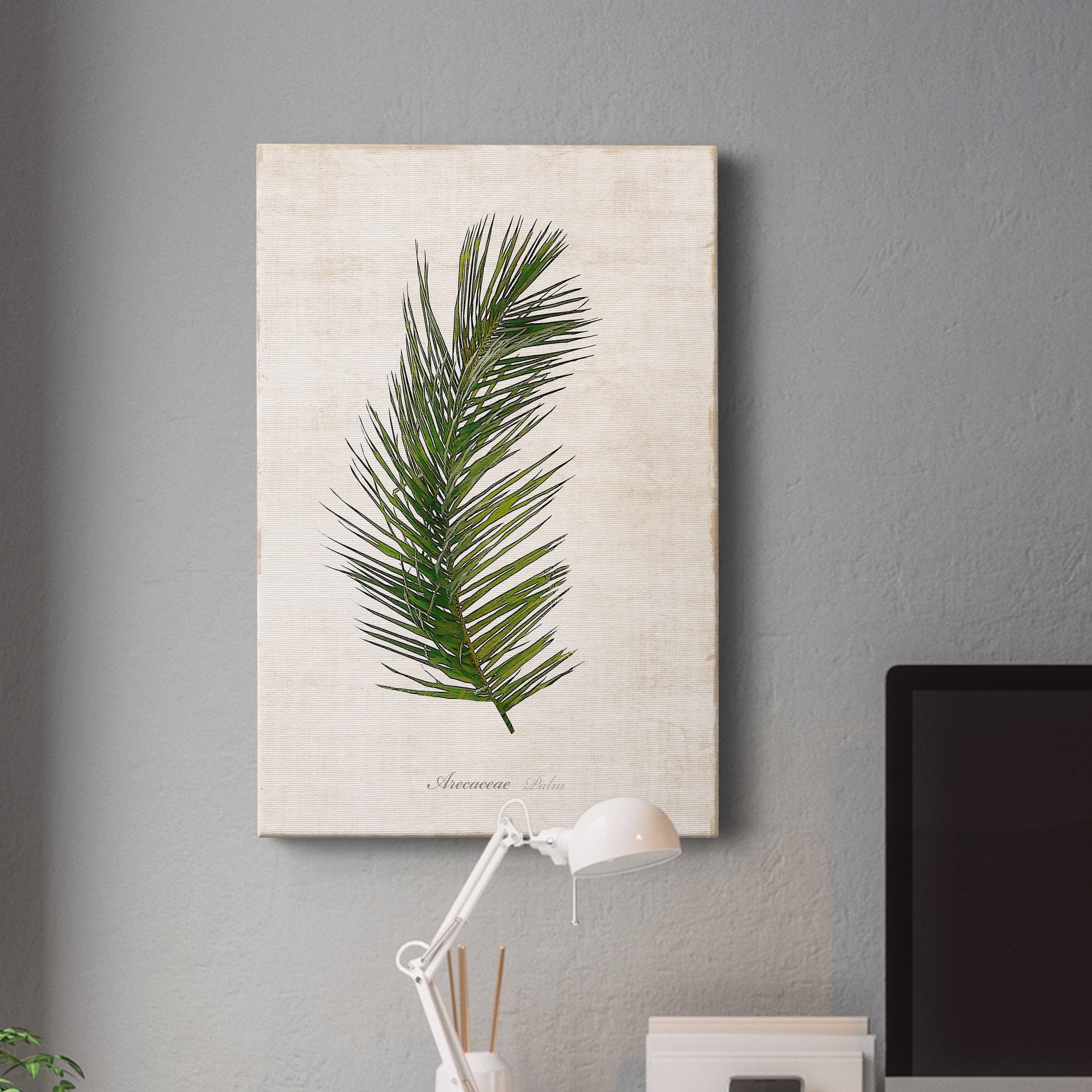 Palm Botanical II Premium Gallery Wrapped Canvas - Ready to Hang - 18 x 27