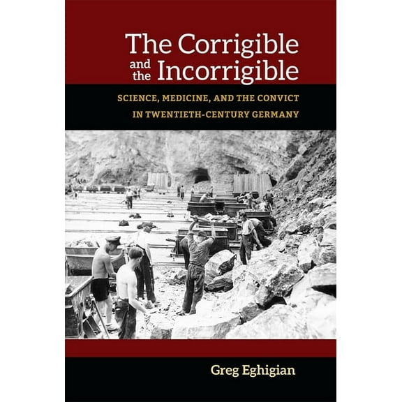 Social History, Popular Culture, and Politics in Germany: The Corrigible and the Incorrigible : Science, Medicine, and the Convict in Twentieth-Century Germany (Hardcover)