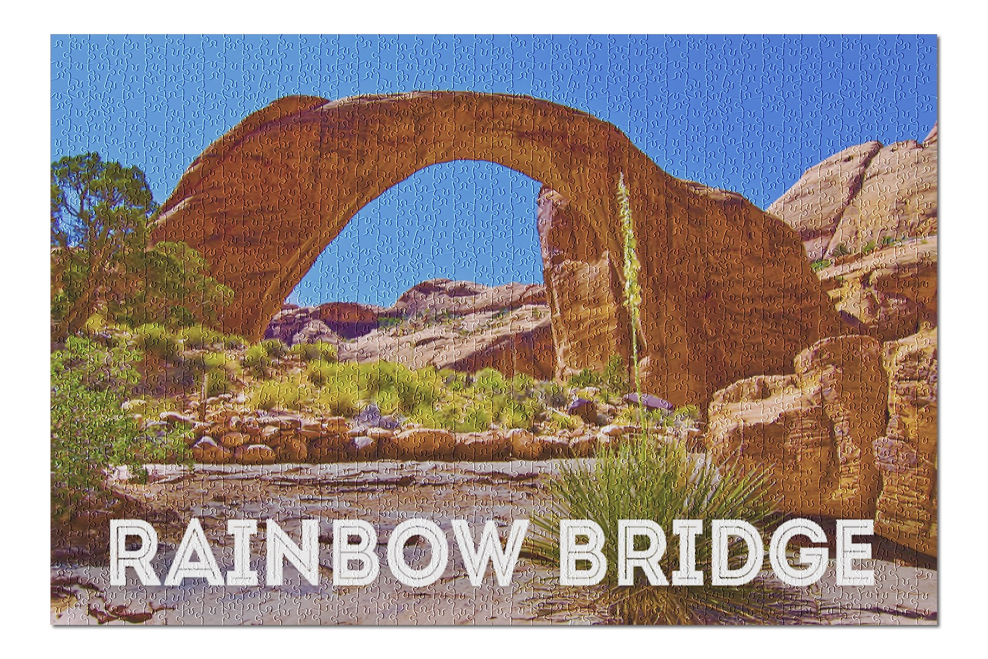 Rainbow Bridge National Monument, New Mexico (20x30 ...