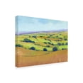 thumbnail image 2 of Tim OToole 'Patchwork Vista I' Canvas Art, 2 of 3