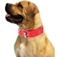 thumbnail image 3 of Collar de perro resistente con asa para perros medianos y grandes – Collar con puntadas reflectantes,, 3 of 5
