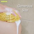 thumbnail image 5 of Evriholder Esponja Corporal De Espuma Para Exfoliar, Depurador Grande Para Una Ducha O Baño Relajante, Paquete De 2, 5 of 5