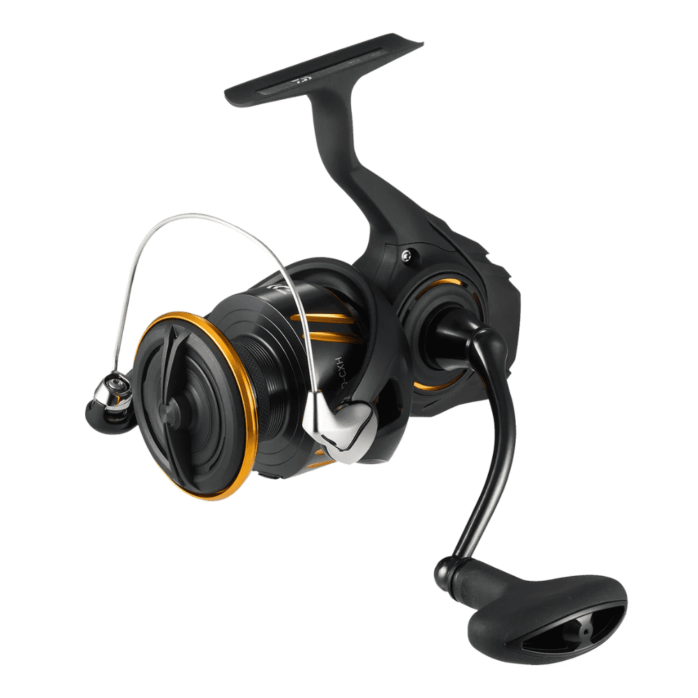 DAIWA BG LT Spinning Reel 3000D-XH