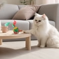 thumbnail image 4 of Interactive Cat Toy Soft EVA Teaser Kit for Indoor Play Promotes Exercise and with Colorful Design, 4 of 9