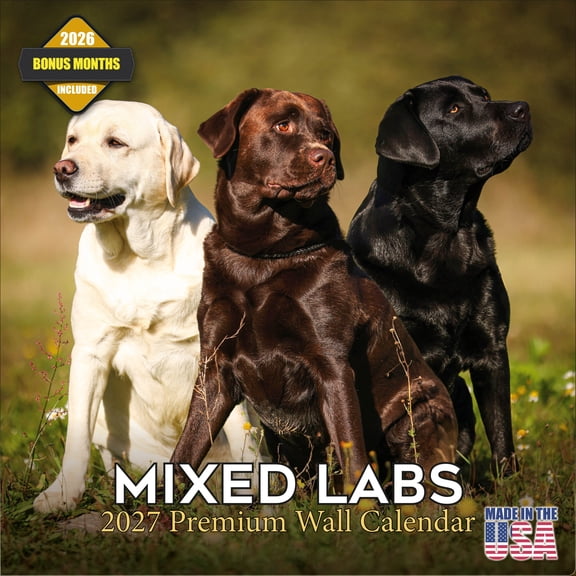 MegaCalendars 2026-2027 Mixed Labrador Wall Calendar, 12x12 Bonus Month Monthly Planner, Made in USA